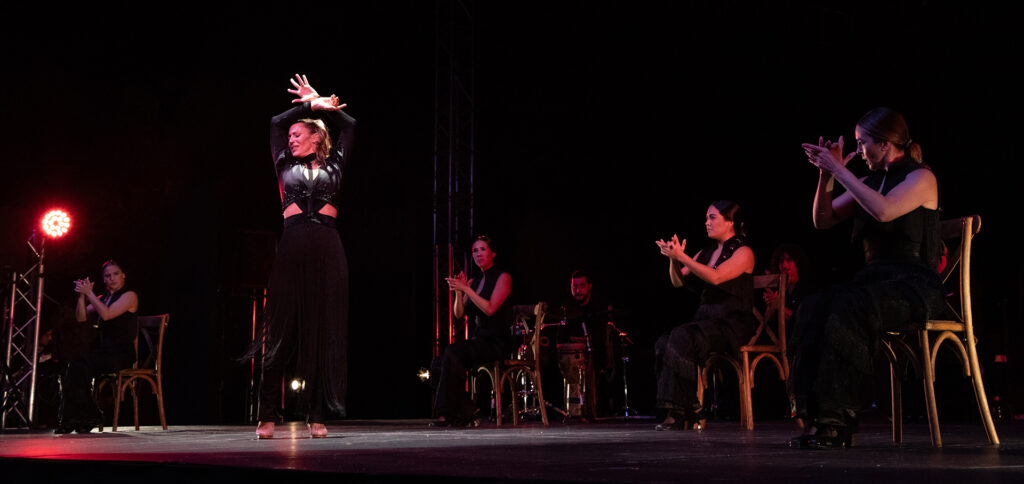 Siudy Flamenco Dance