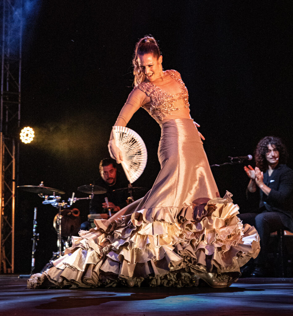 Siudy Flamenco Dance 3