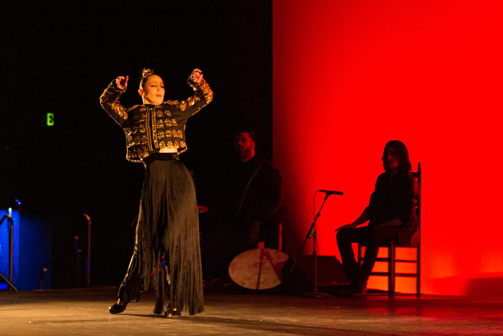Siudy Flamenco Dance 4